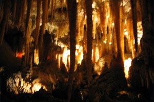 la grotte lascaux ave