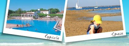 Cypsela review